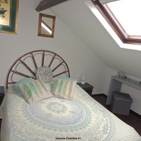 Gîte Hyrom 5 Places Moulin de la Placette Faye-d'Anjou Extérieur photo