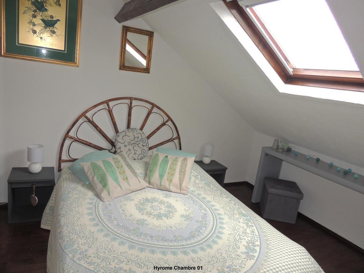 Gîte Hyrom 5 Places Moulin de la Placette Faye-d'Anjou Extérieur photo